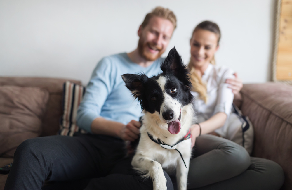 dog with man and woman in rental property