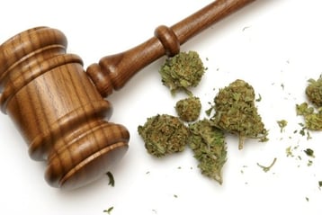 gavel and marijuana